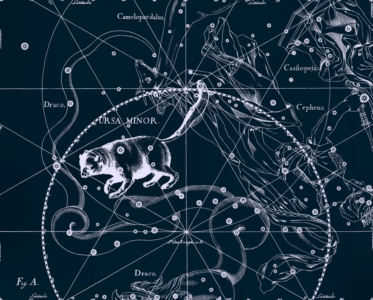 História da constelação