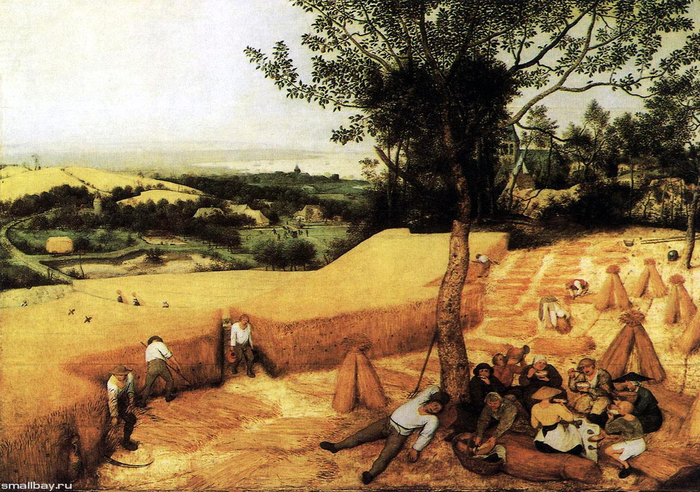 Жнива, 1565