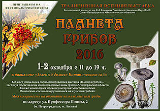 Санкт-Петербурзьке микологическое суспільство проводить традиційну виставку «Планета грибів - 2016»