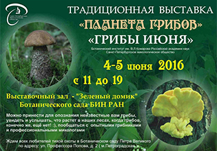 Санкт-Петербурзьке микологическое суспільство проводить традиційну виставку «Планета грибів