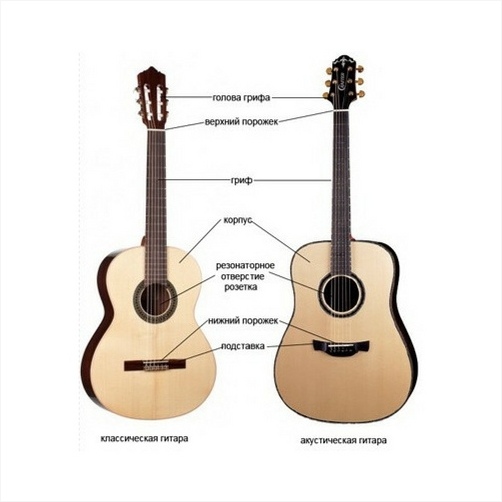 Незважаючи на зовнішню схожість, відмінностей між двома видами гітар можна знайти дуже багато
