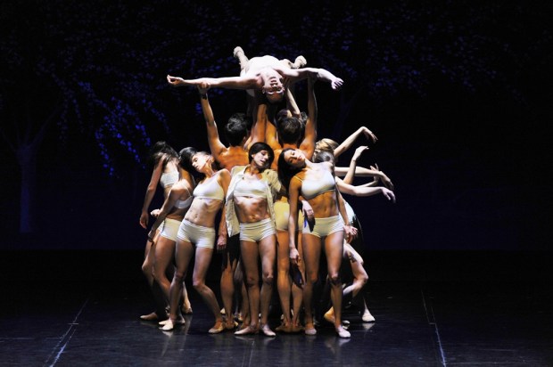 На цей раз театр покаже в Ізраїлі два одноактні балети - «Весна священна» та «Ексодус»